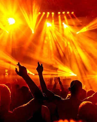 Dear Maryanne Orlando