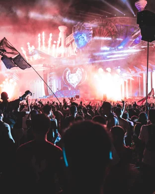 Electric Daisy Carnival