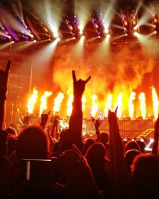 Carnivore A.D. Sanford