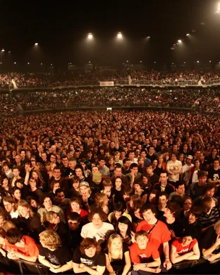 Bearly Dead - Grateful Dead Tribute Sanford