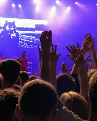 Tusk - Tribute To Fleetwood Mac