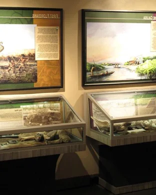 Anime Festival Orlando Orlando