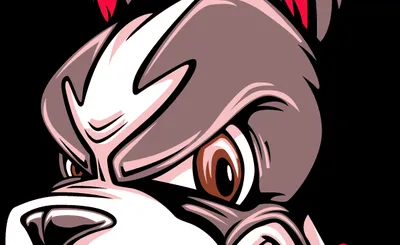 Boston University Terriers