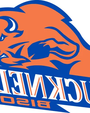 Bucknell Bison