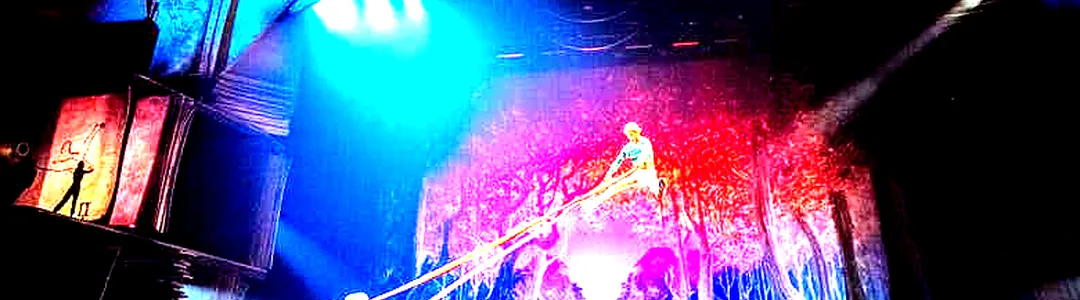 Cirque du Soleil - Drawn To Life