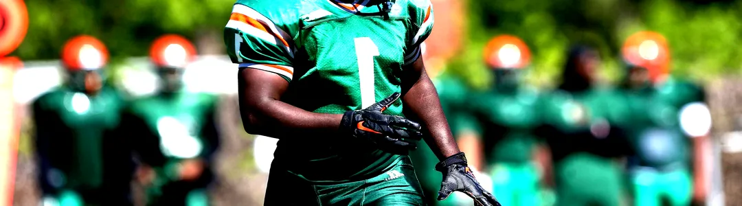 Florida A&M Rattlers Football