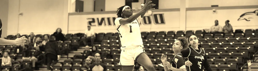 Le Moyne Dolphins Basketball