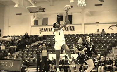 Le Moyne Dolphins Basketball