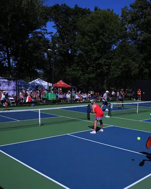Major League Pickleball - Sunday