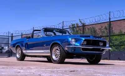 Mecum Auto Auction