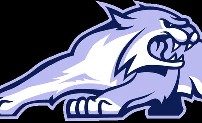 New Hampshire Wildcats