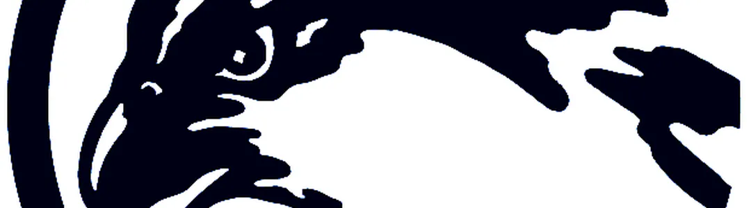 North Florida Ospreys 