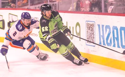 Orlando Solar Bears