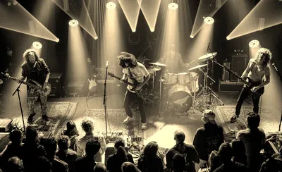 Pigeons Playing Ping Pong