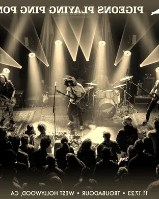 Pigeons Playing Ping Pong & Lotus