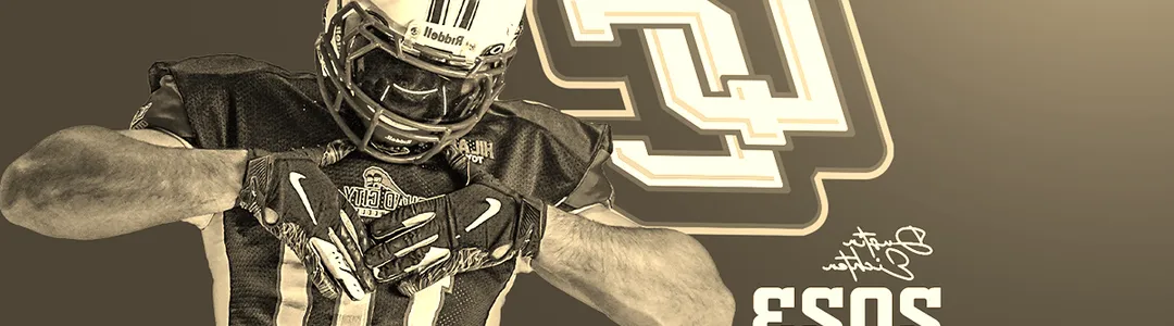 Quad City Steamwheelers