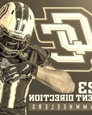 Quad City Steamwheelers