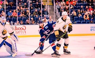 South Carolina Stingrays