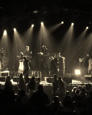 Thievery Corporation