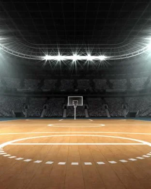 Osceola Magic vs. Delaware Blue Coats