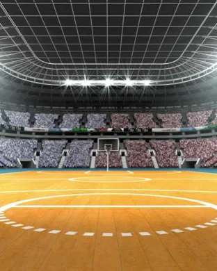 West Virginia Mountaineers Women's Basketball