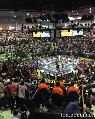 Little Mania Midget Wrestling