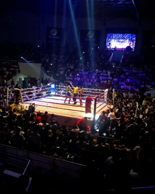 Matchroom Boxing USA: Omari Jones vs. Alan Sanchez