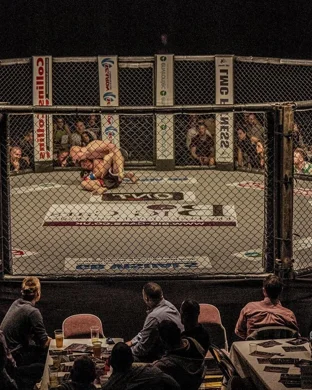 Duel Arena: Mike Perry vs. Dillon Danis sports event