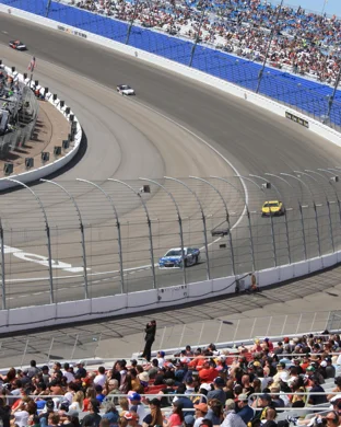 Bracketazo Para Papa IX