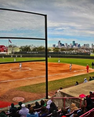 UCF Knights Softball