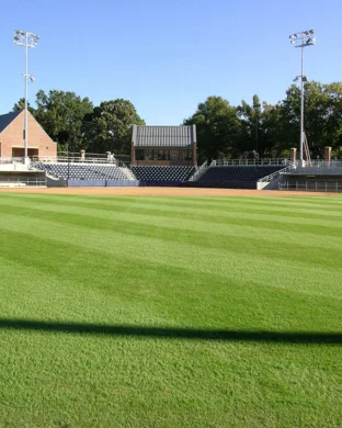 Arizona State Sun Devils Softball