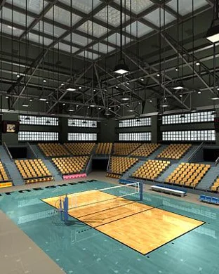 Bracketazo Para Papa IX